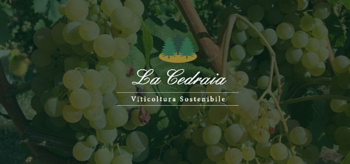 la_cedraia