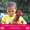 Gallina_pasqua