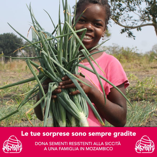 Sementi_pasqua