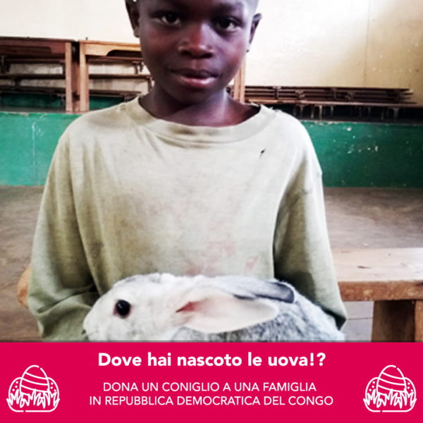 coniglio_pasqua