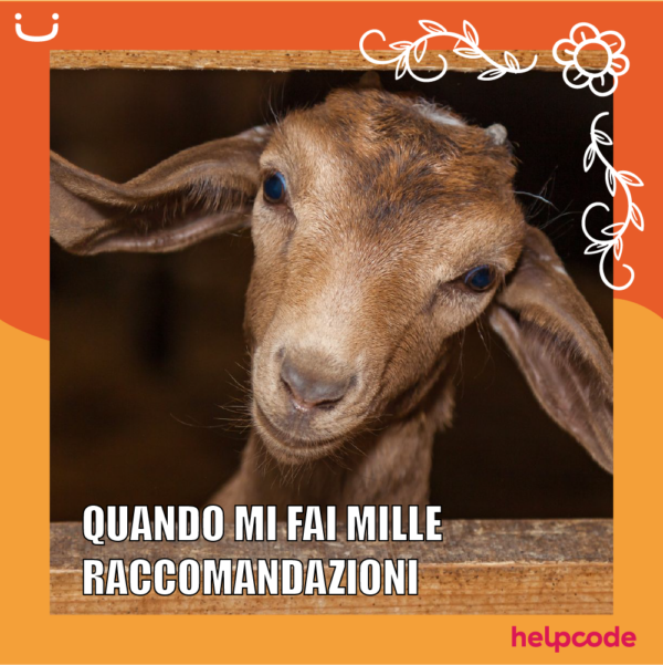 HELPCODE-regali-mamma_capra